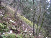 12.23.05 Elowah Falls 017 